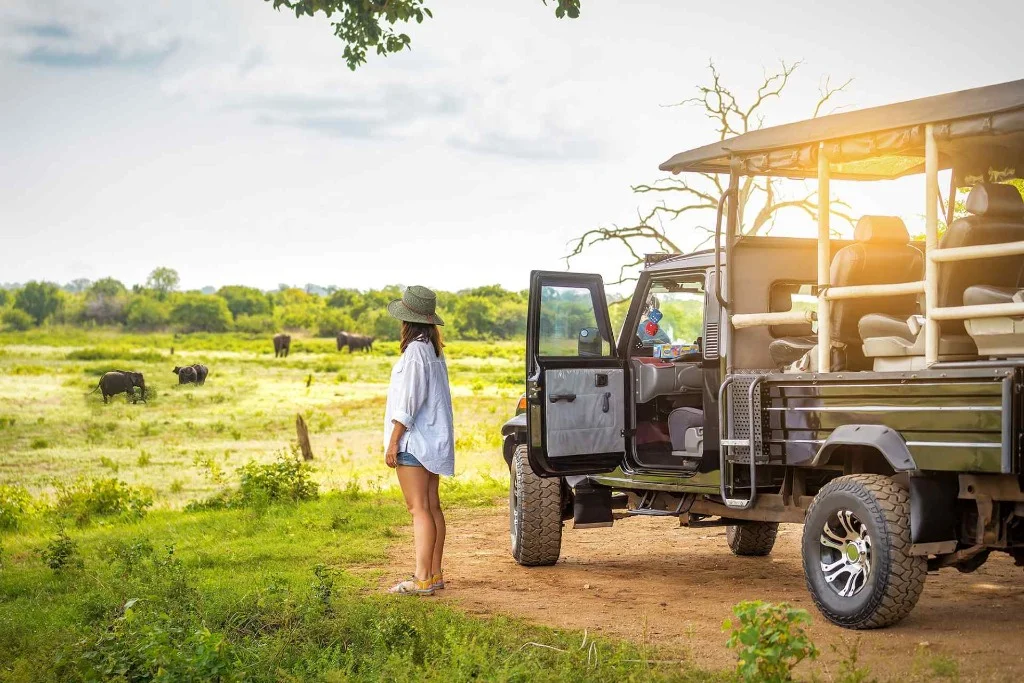 Private wildlife safari vehicle with guest observing wild elephants in Sri Lanka