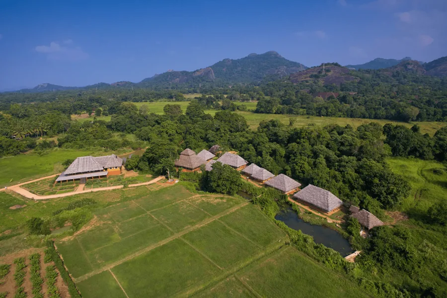 Amuna Ayurveda Retreat set in natural forest near Kandalama