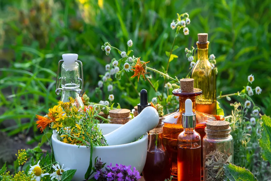 Traditional Ayurvedic botanical extracts and herbal remedies