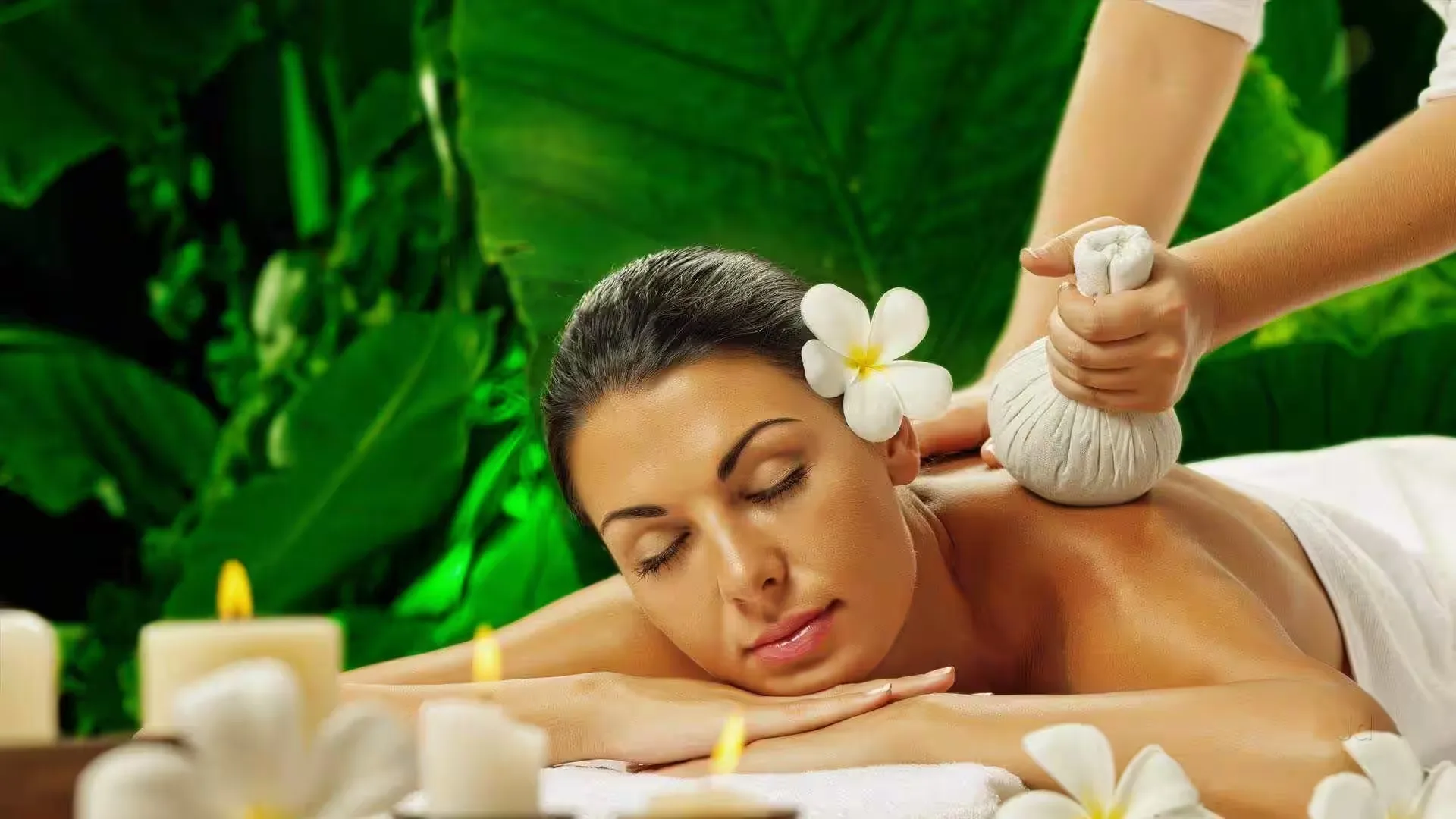 Ayurvedic wellness and oil treatment in Sri Lanka