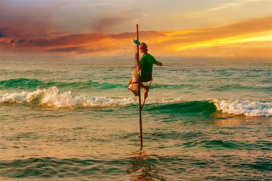 Sunny tropical coastal scenery in Sri Lanka during peak travel season
