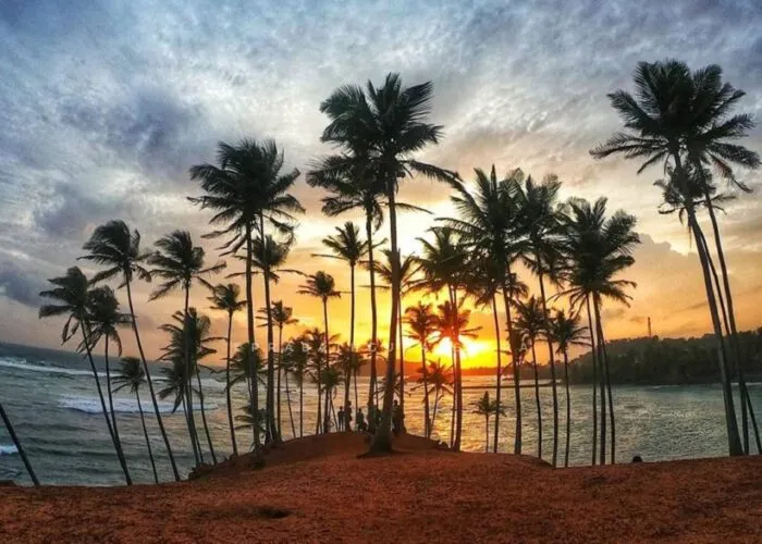 Coconut Tree Hill Mirissa