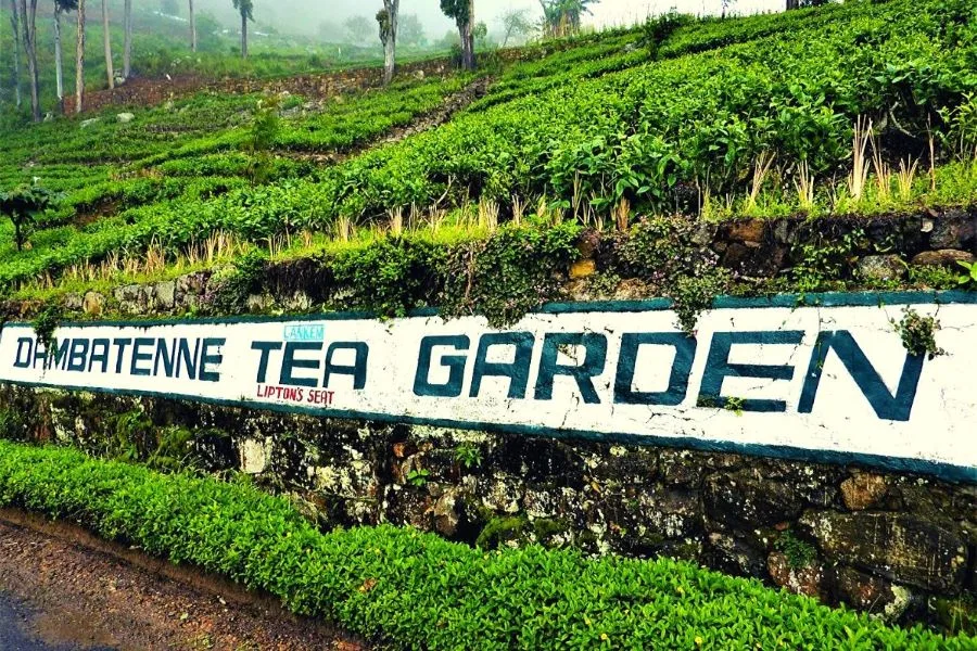 Dambatenne Tea Factory founded by Sir Thomas Lipton in Haputale