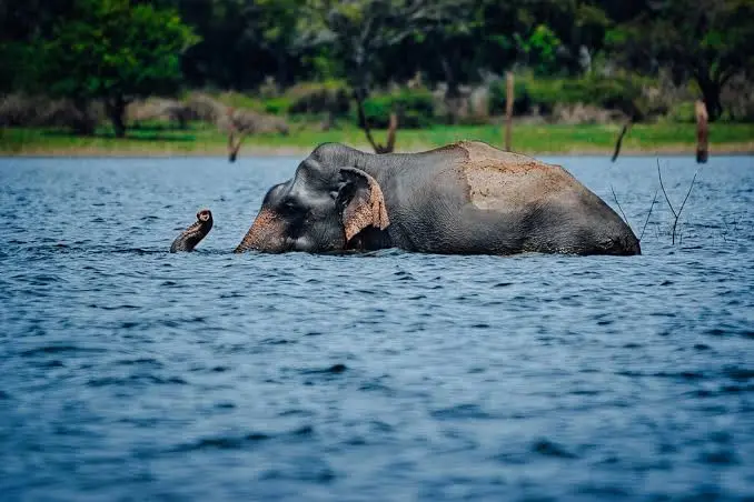 Gal Oya National Park - Scenic landscape in The Western Coast & Riverways, Sri Lanka