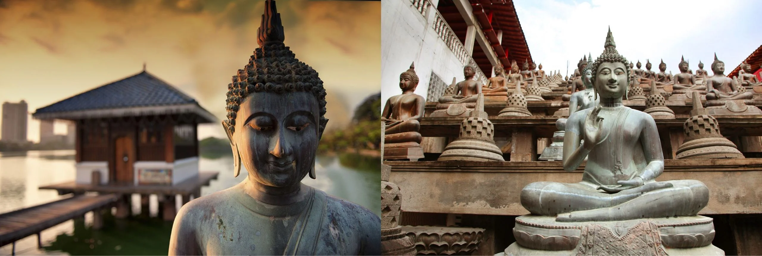Serene Buddha statues displayed at Gangaramaya Temple in Colombo