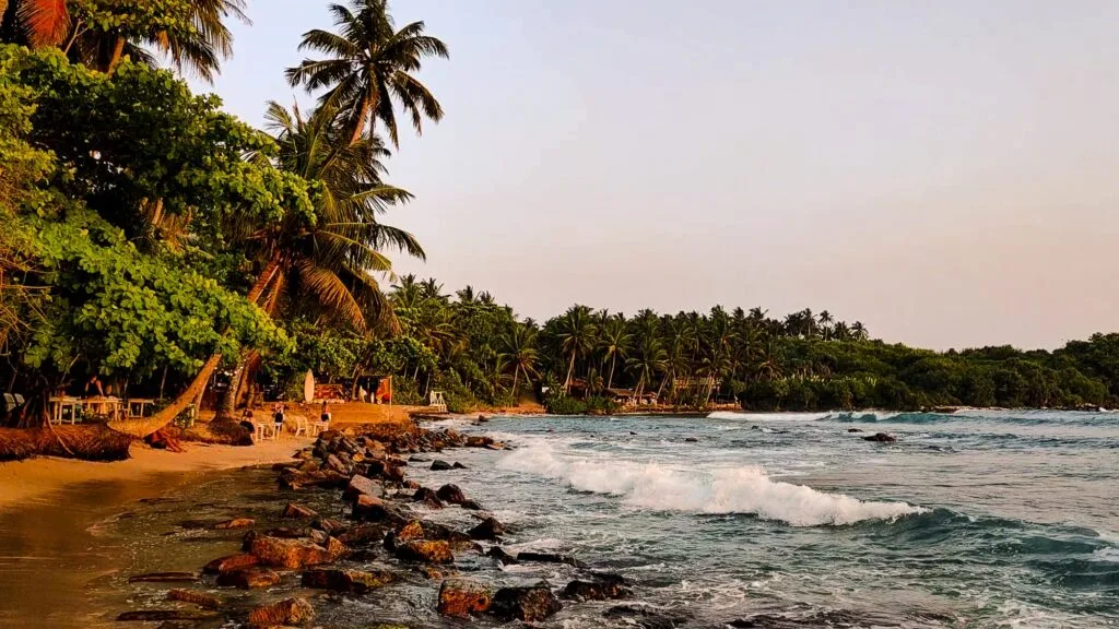 Surfers and palm trees at Hiriketiya Beach