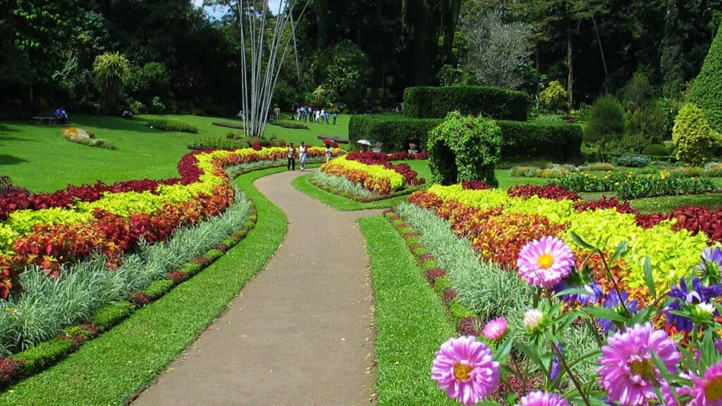 Winding garden pathways and manicured flower borders at the Royal Botanic Gardens Peradeniya