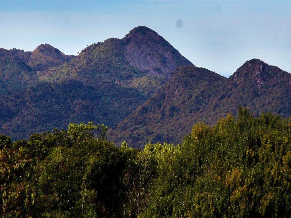Hikers navigating the rocky trail through cloud forest toward Kirigalpoththa peak