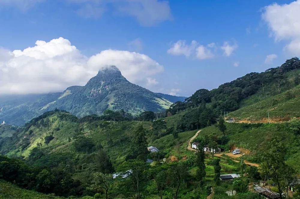 Sigiriya to Knuckles Mountain Range Wilderness Trek