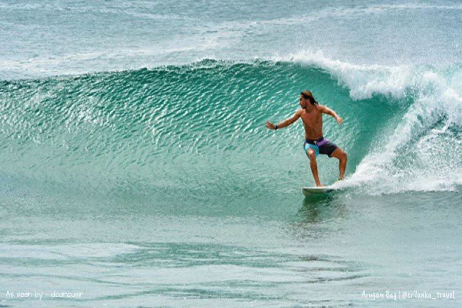 Surfers catching waves at Arugam Bay Main Point