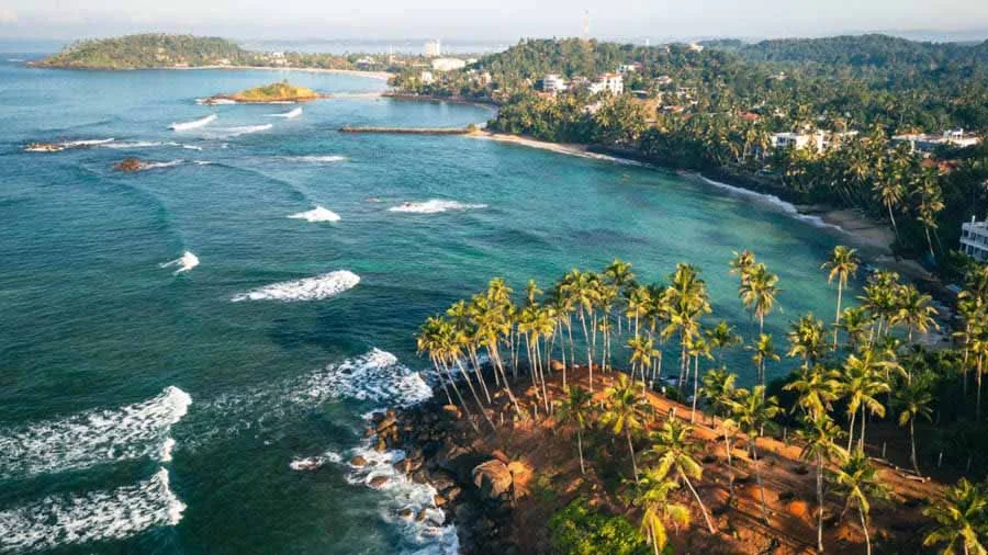 Mirissa Beach coastline and tropical palms