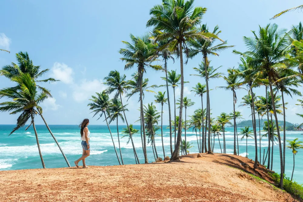 Mirissa & Coconut Tree Hill