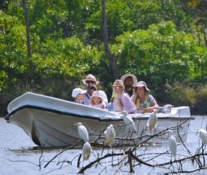 Boat tour carrying visitors through Muthurajawela Wetland Sanctuary with egrets perched on fallen branches