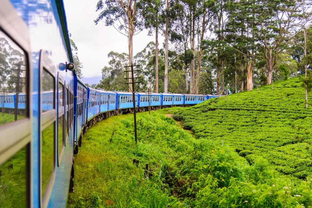 The scenic highland train journey between Kandy and Ella passing through tea estates