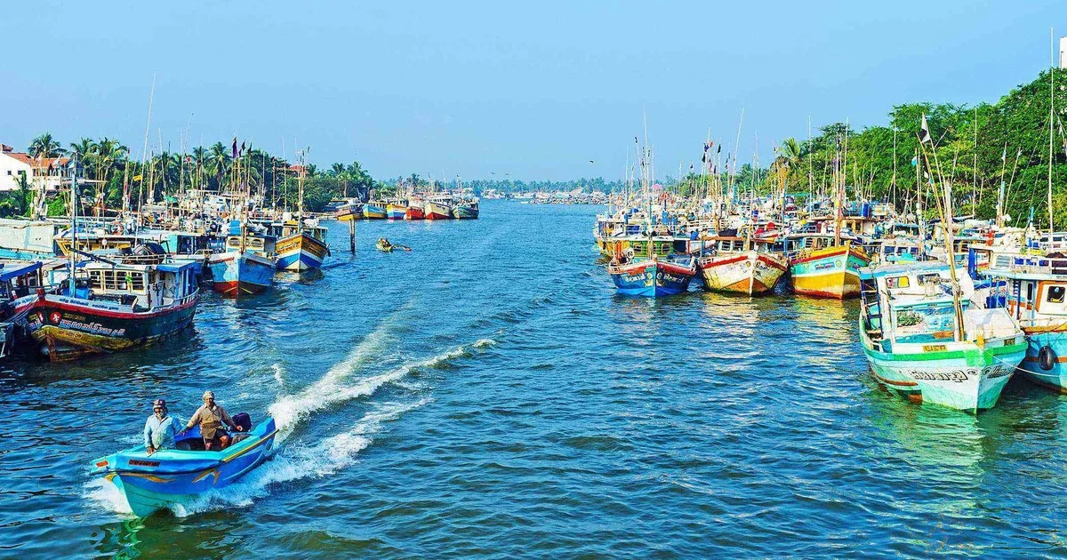 Historic tree-lined waters of the Dutch Hamilton Canal winding through coastal Negombo