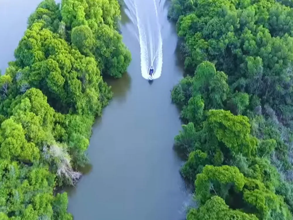 Scenic boat tour navigating the tranquil waters and mangrove channels of Negombo Lagoon