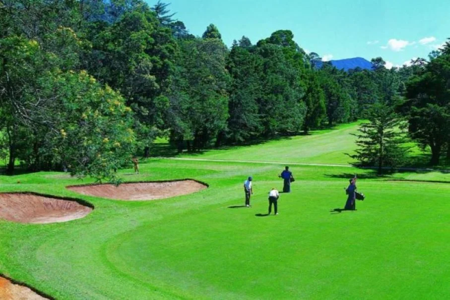 Scenic fairways and pine trees at the historic 1889 Nuwara Eliya Golf Club