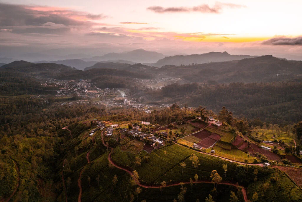 Misty sunrise over tea estates in Nuwara Eliya