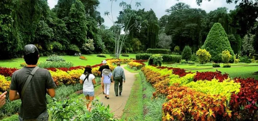 Royal Peradeniya Gardens, Sacred Tooth Relic Temple & Cultural Dance