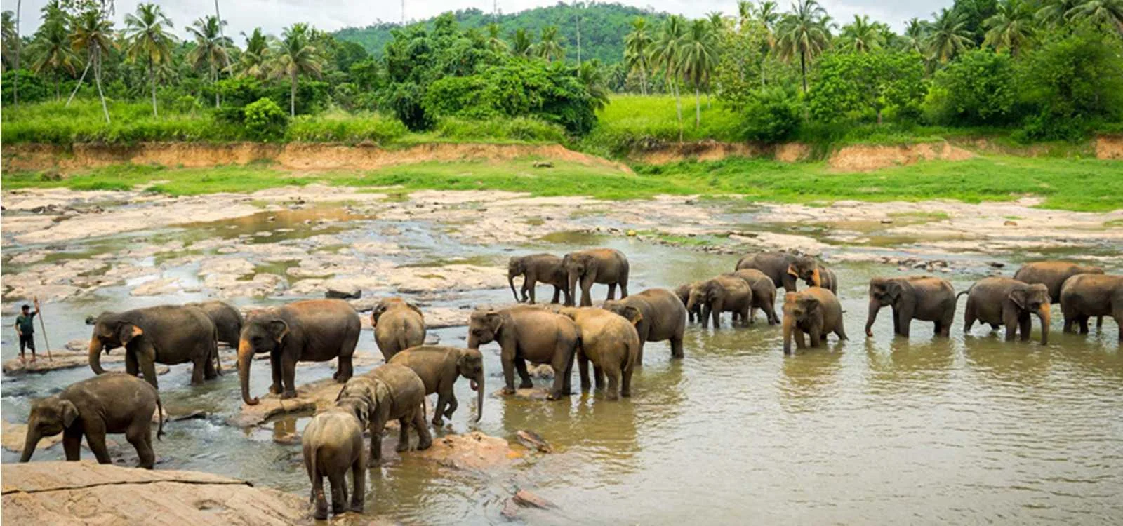 Pinnawala Elephant Orphanage - Scenic landscape in The Western Coast & Riverways, Sri Lanka