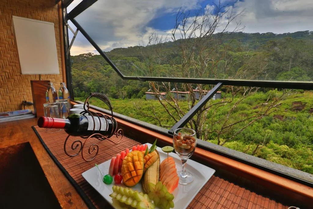 Canopy dining area surrounded by primary rainforest at The Rainforest Ecolodge