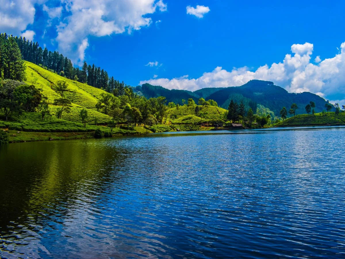 Sembuwatta Lake nestled among pine forests and tea plantations