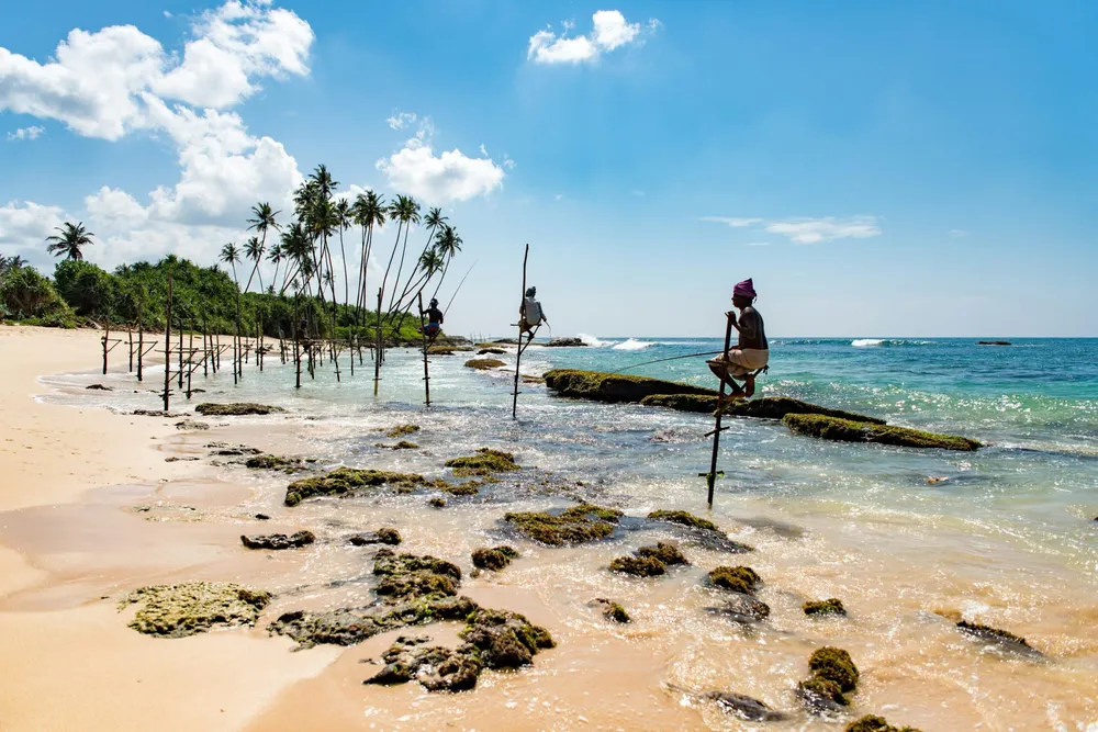 Sri Lanka Travel Unleashed – Surf at Dawn, Chase Leopards at Dusk & Let Ayurveda Heal Your Soul