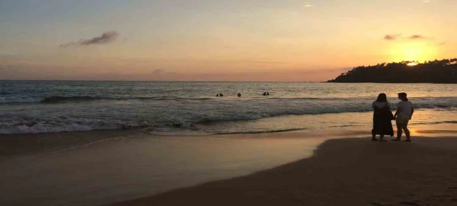 Golden hour sunset over the coconut palms of Mirissa Beach