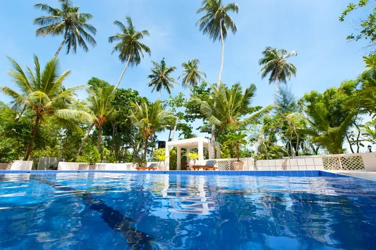 Surya Lanka Ayurveda Beach Resort amidst beachfront gardens