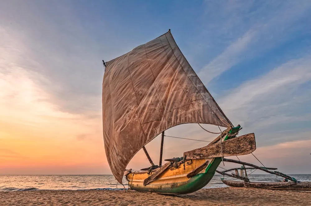 Arrival at Colombo (CMB) · Negombo Coastal Sanctuary