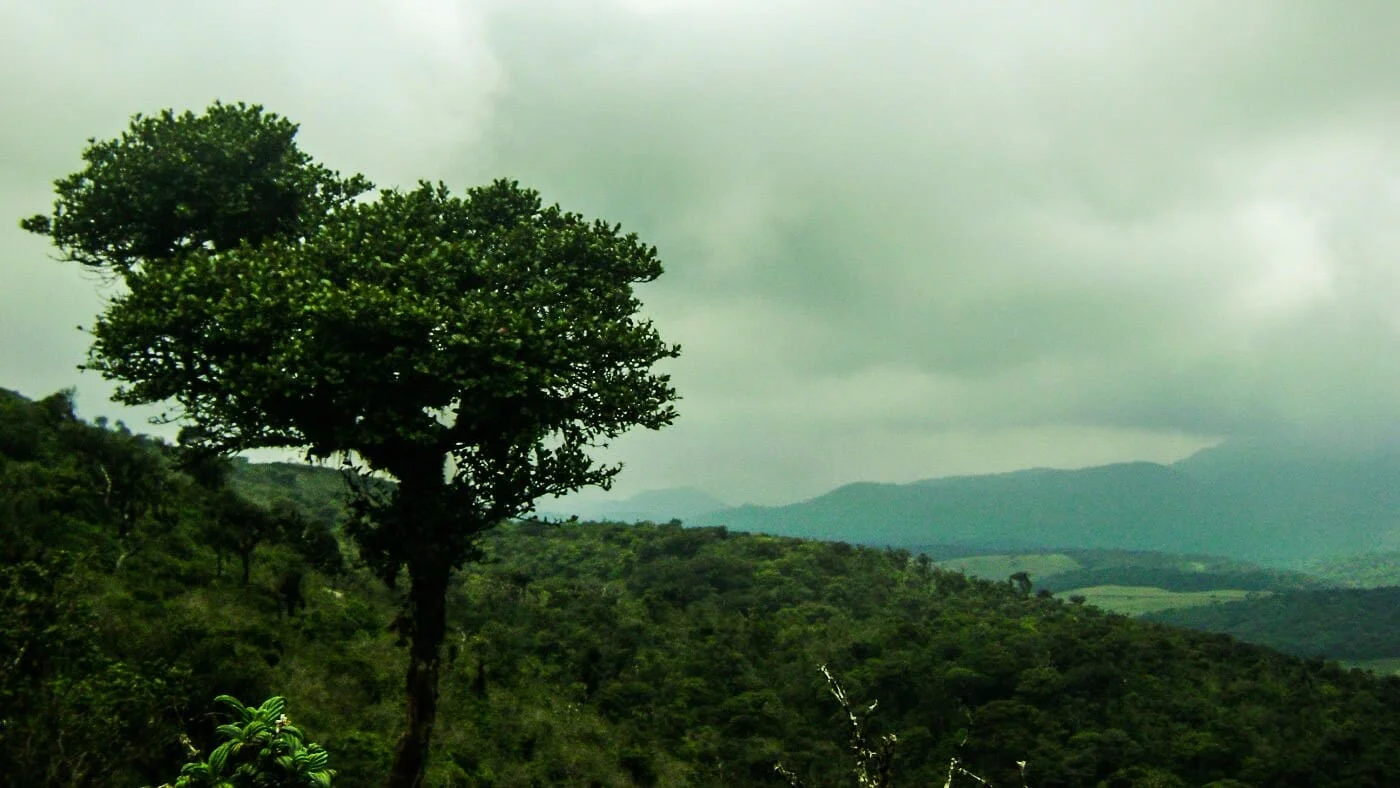 Panoramic highland views across Horton Plains from the summit of Thotupola Kanda