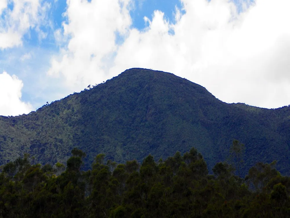 Thotupola Kanda peak surrounded by highland shrubs and misty mountain skies