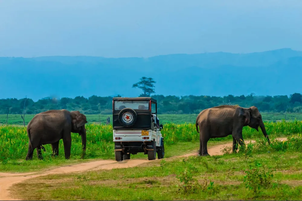 Udawalawe National Park Safari Guide - Scenic landscape in The Southern Coasts, Sri Lanka