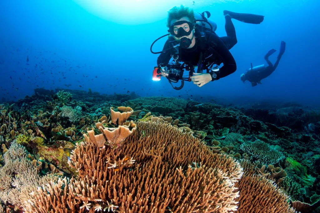 Unawatuna Bay with golden sand and clear water