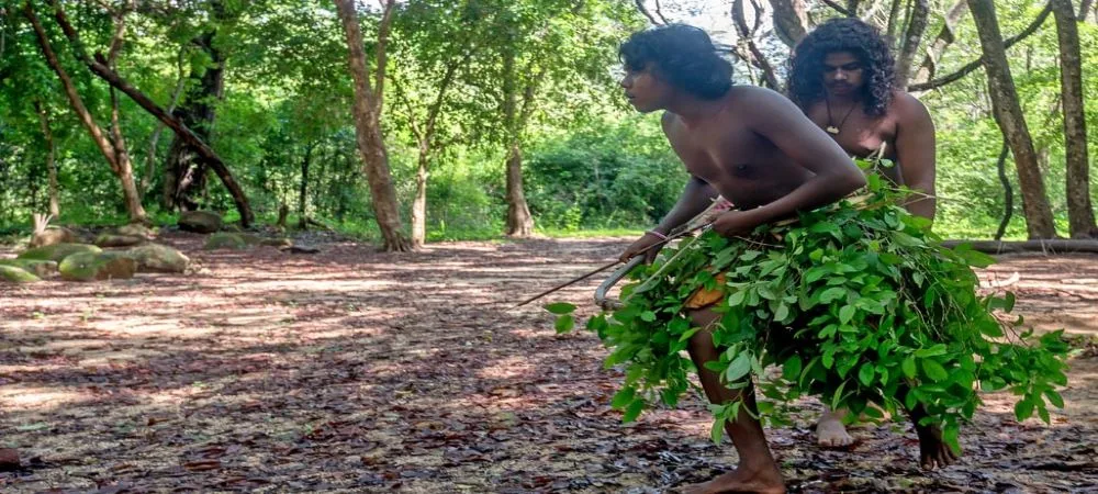 Vedda indigenous community members engaged in traditional village lifestyle