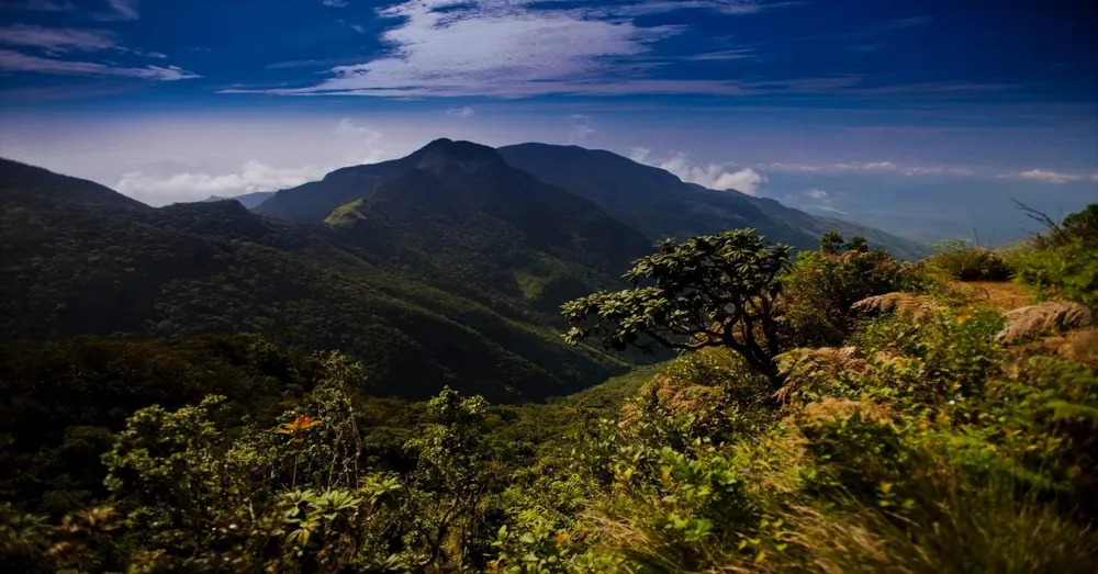 Horton Plains & World’s End
