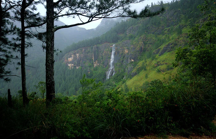 Belihuloya to Beragala & Bambarakanda Waterfall Hike