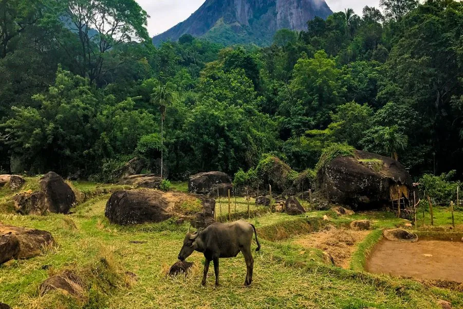 Trekking and Camping in Meemure