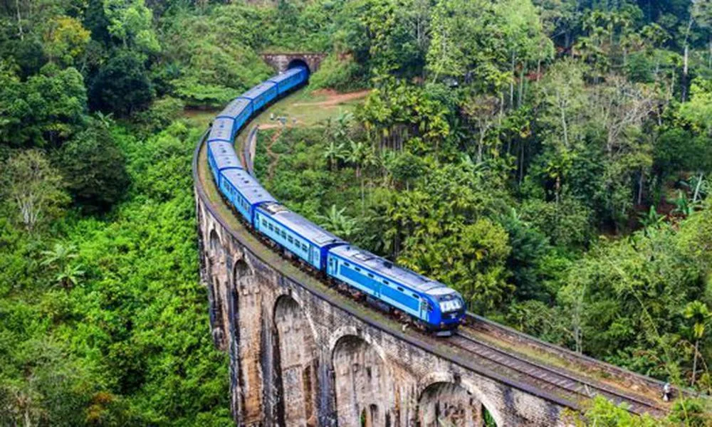 Horton Plains World's End Trek, Little Adam's Peak & Nine Arch Bridge