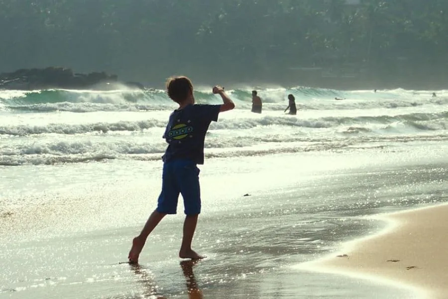 Sri Lanka Family Highlights: Sigiriya, Yala Safari & Golden Coast