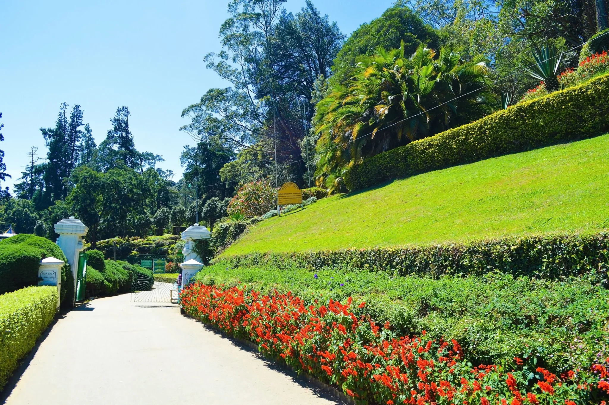 Hakgala Rose Gardens & Mountain Serenity