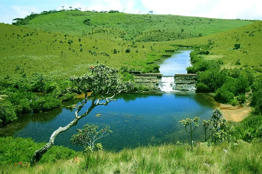 Horton Plains Cloud Forest Trek & World's End