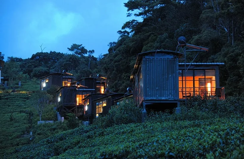 Arrival & Transfer to Sinharaja Rainforest Eco-Lodge