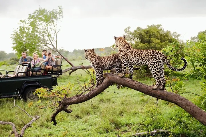 Southern Coastal Drive to Yala National Park