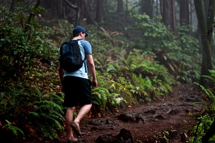 Sinharaja Trails, Ella Peaks & Yala Safari