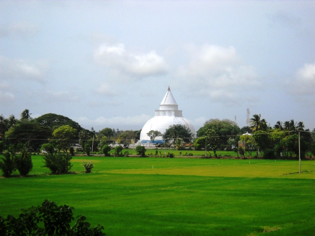 Highlands Descent to Tissamaharama Wetlands
