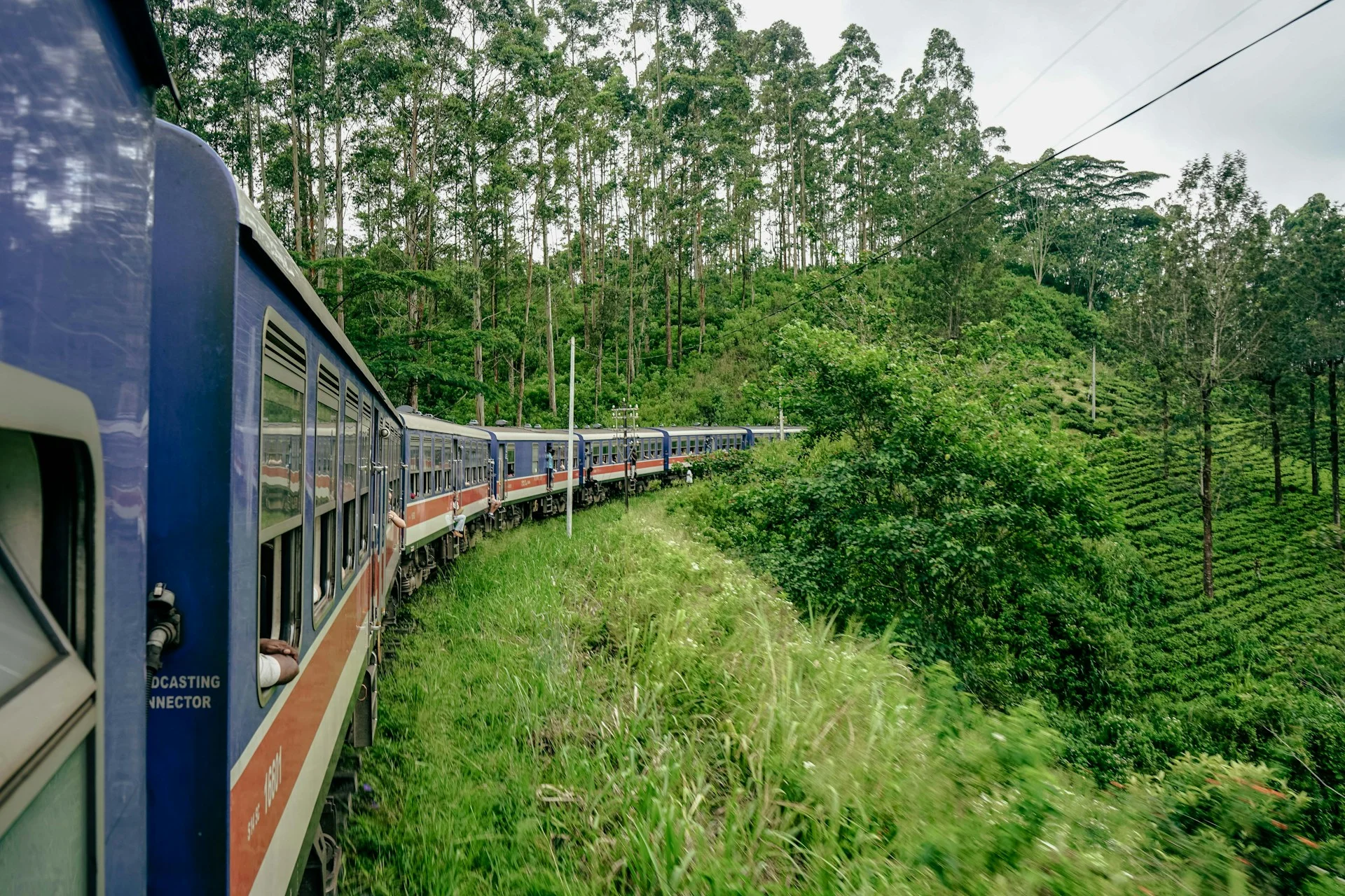 Scenic Hill Country Train to Nuwara Eliya ('Little England')
