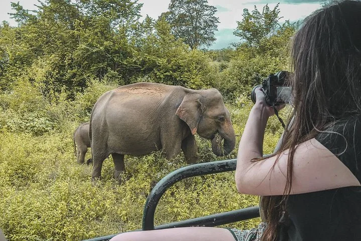 Ella Highlands to Udawalawe & Elephant Transit Home Sanctuary