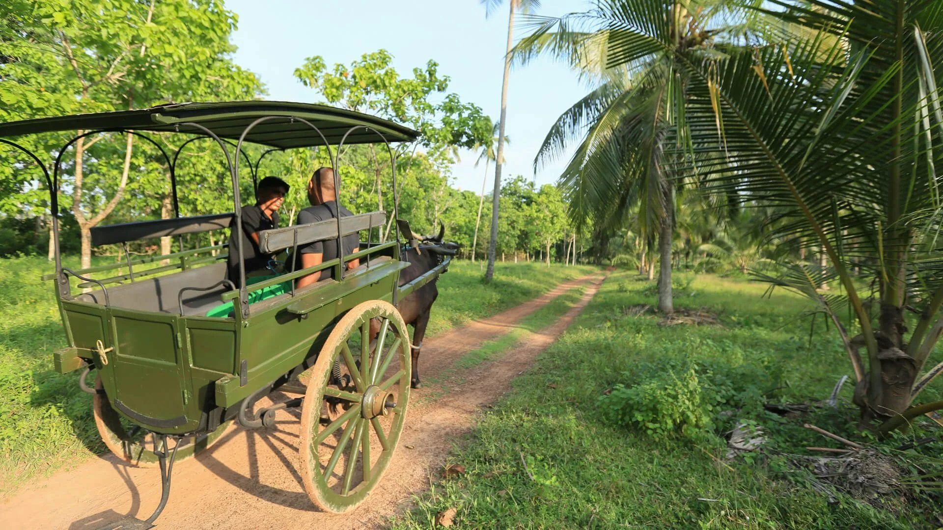 Arrival at Colombo (CMB) · Countryside Heritage Estate Retreat