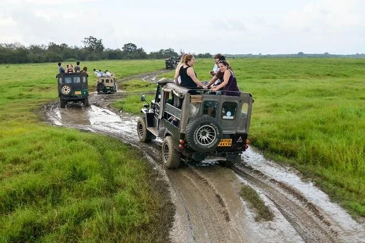 Wilpattu National Park · Untamed Wilderness Safari